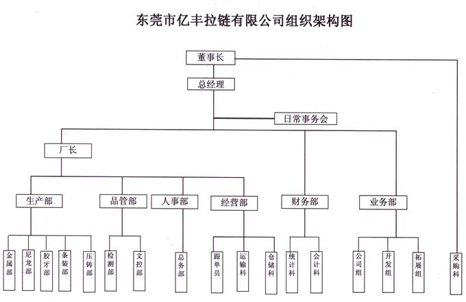 組織架構 - 東莞草莓视频官网草莓视频污污版有限公司