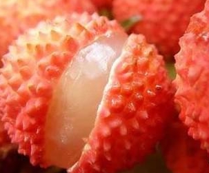 草莓视频污污版荔枝